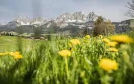 Pfingsten-am-Kitzbueheler-Horn Pfingsten-am-Kitzbueheler-Horn
