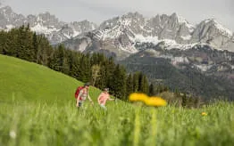 Fruehling-in-den-Kitzbueheler-Alpen Fruehling-in-den-Kitzbueheler-Alpen